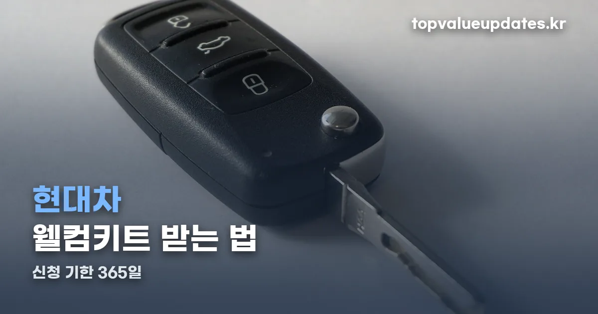 현대차 웰컴키트 정리 썸네일