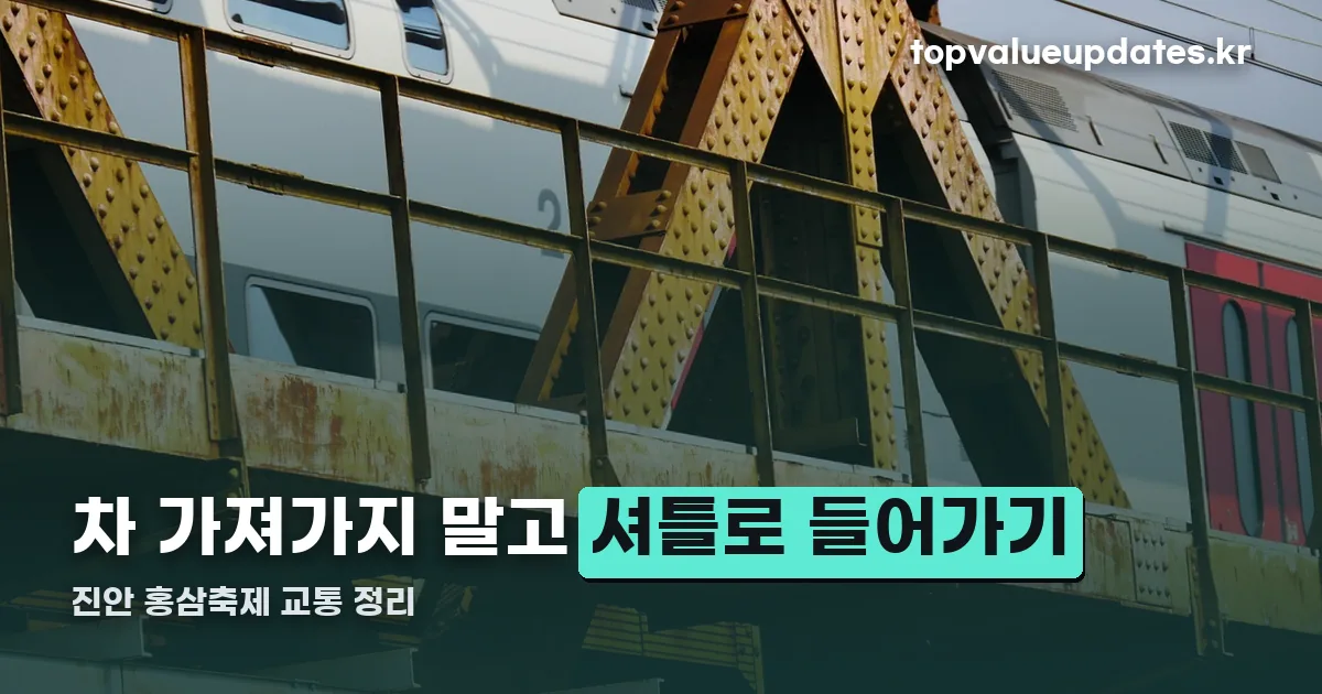 진안 홍삼축제 셔틀버스 정리 썸네일