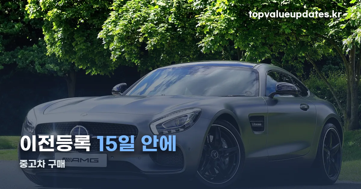 중고차 구매 정리 썸네일