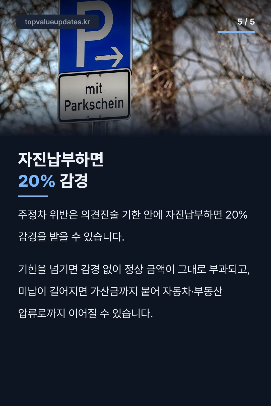 자진납부 20% 감경 수치